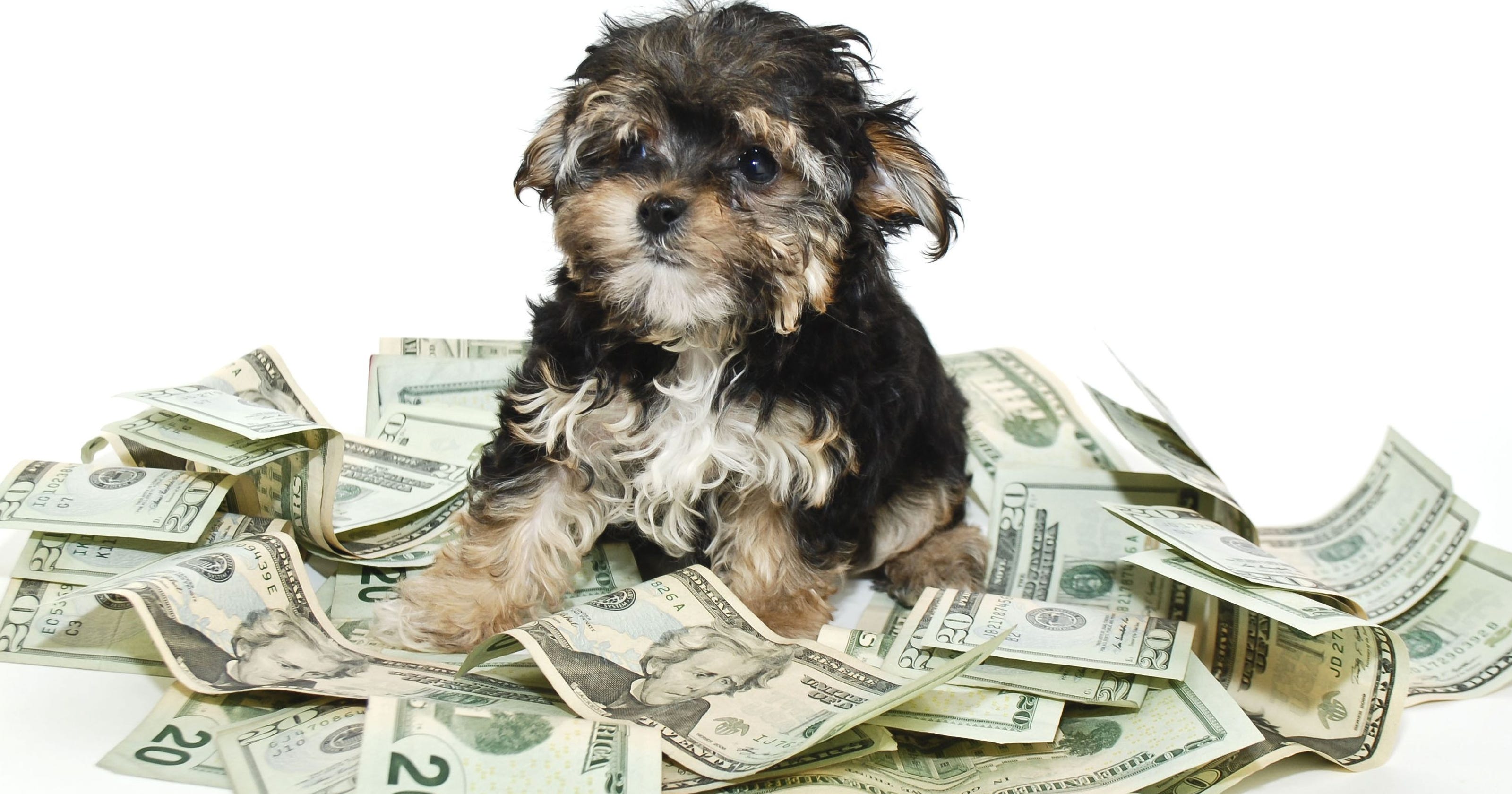 Rolling in the dough