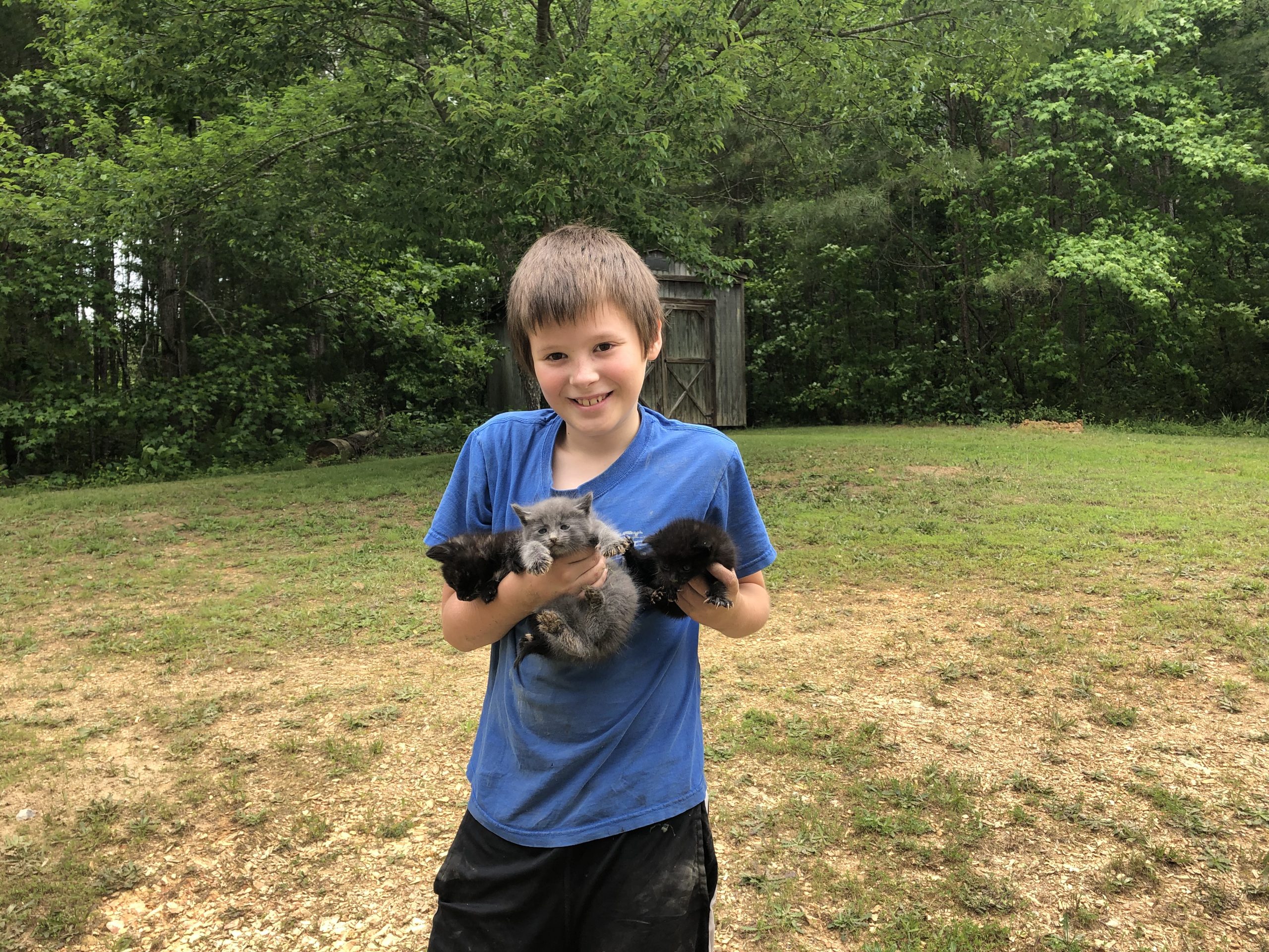 Seph saves the KIttens