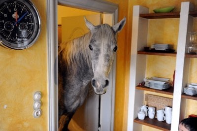 You have to go inside the house